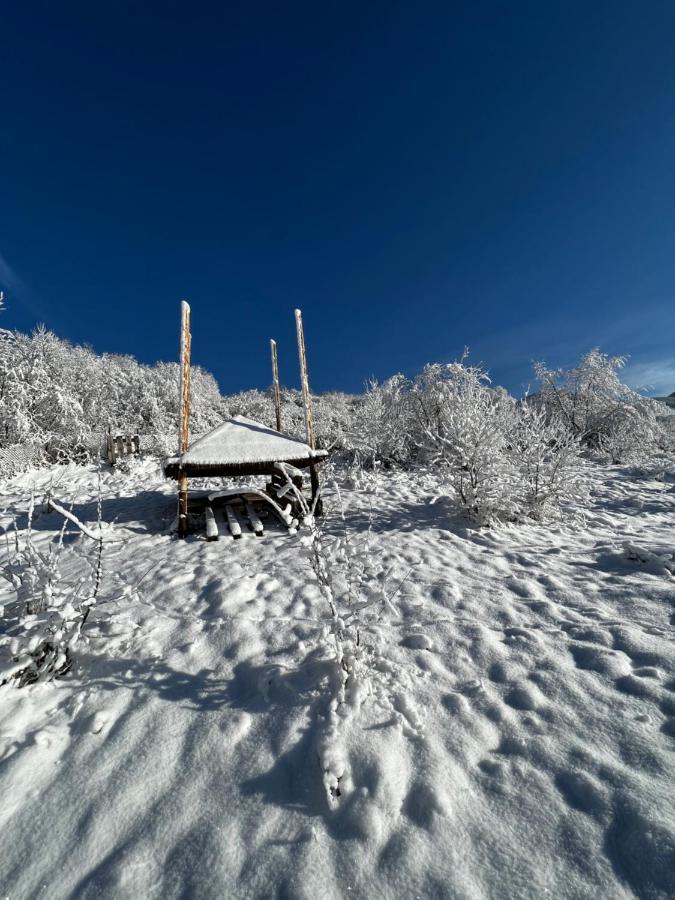 Hotel Купецький Двір Mizhhirya  Zewnętrze zdjęcie